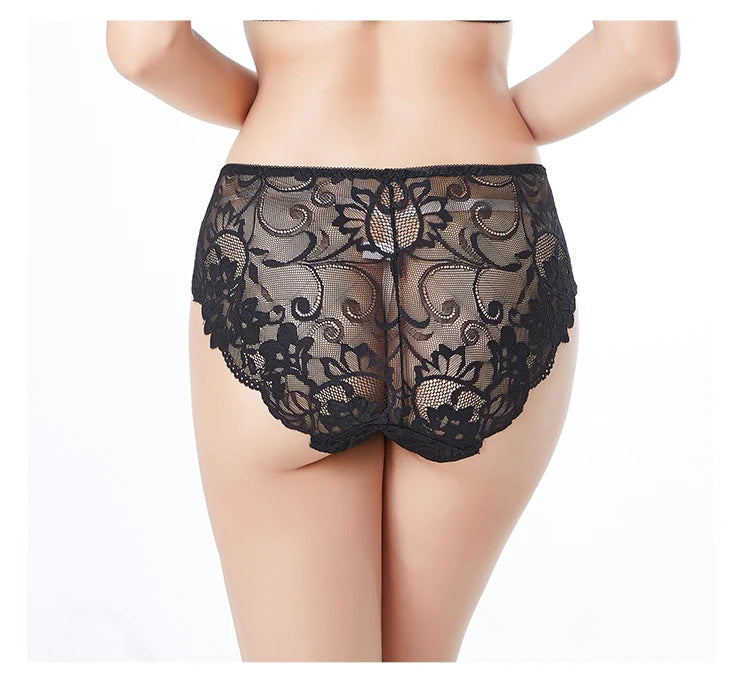 3pcs/Pack Ultra Thin Women Panties Plus Size Briefs for Women Women Full Lace Panties  Solid Sexy Briefs Female Sexy 2XL 3XL 4XL