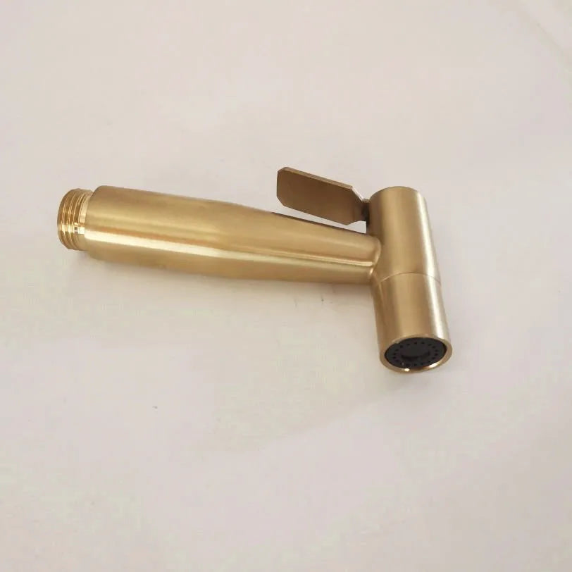 Hand Held Toilet Bidet Sprayer Brushed Gold Stainless Steel Bidet Jet Douche Kit Shattaf Faucet Toilet Washer Cleaning BG909