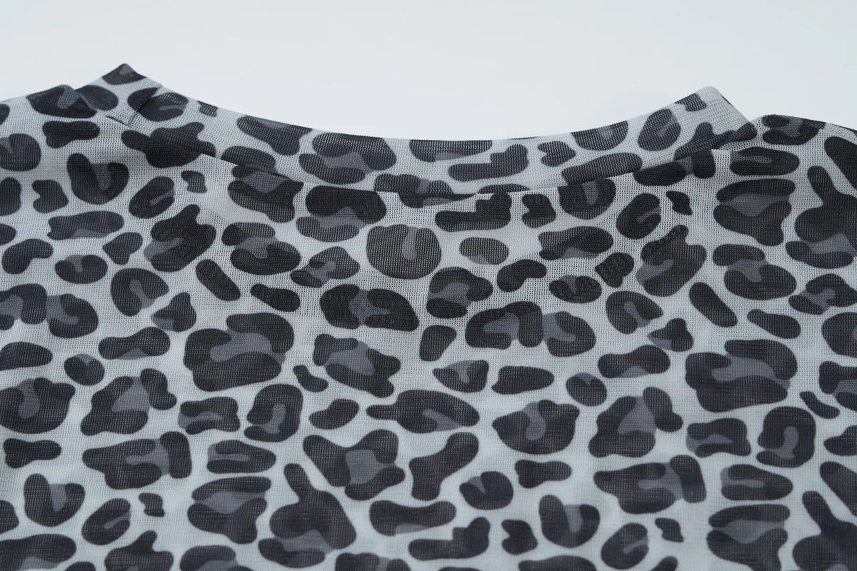 Ladies summer Leopard Print Clubwear Y2K Clothes Women Long Sleeve O-Neck Mesh See Through Slim T Shirt Holiday Streetwear Tees